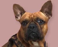 You Are Pretty Schönheitsinstitut von Sabine Firtzlaff - Spencer